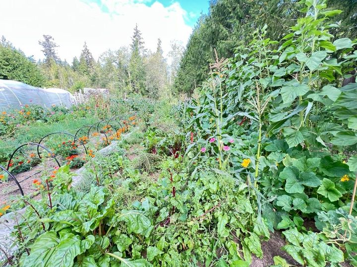 Photo 13 at 6229 Mason Road, Sechelt District, Sunshine Coast