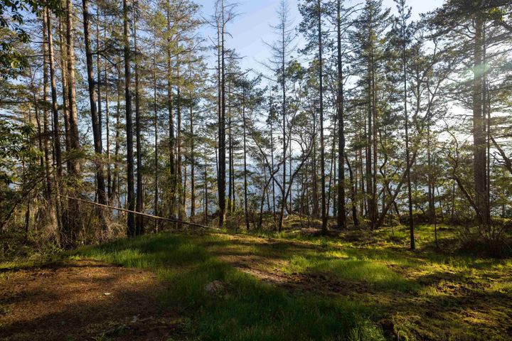 Photo 33 at LOT C Sunshine Coast Highway, Sechelt District, Sunshine Coast Photo 33 at LOT C Sunshine Coast Highway, Sechelt District, Sunshine Coast