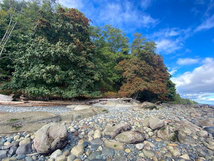 Photo 5 at Lot 19 Dl 71 Bodega Beach Drive, Galiano Island, Islands-Van. & Gulf