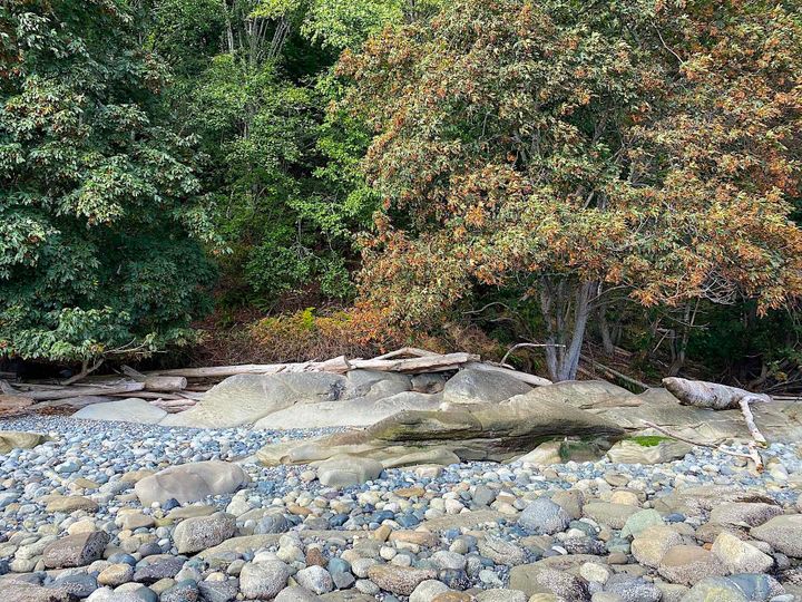 Photo 7 at Lot 19 Dl 71 Bodega Beach Drive, Galiano Island, Islands-Van. & Gulf