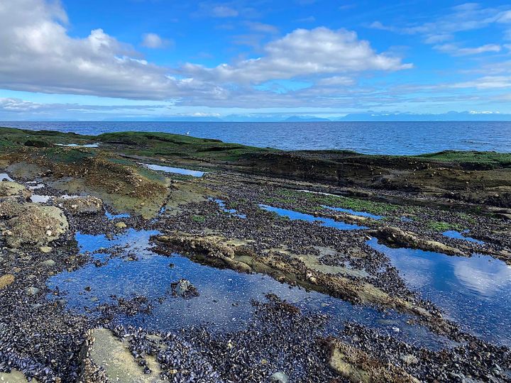 Photo 8 at Lot 19 Dl 71 Bodega Beach Drive, Galiano Island, Islands-Van. & Gulf