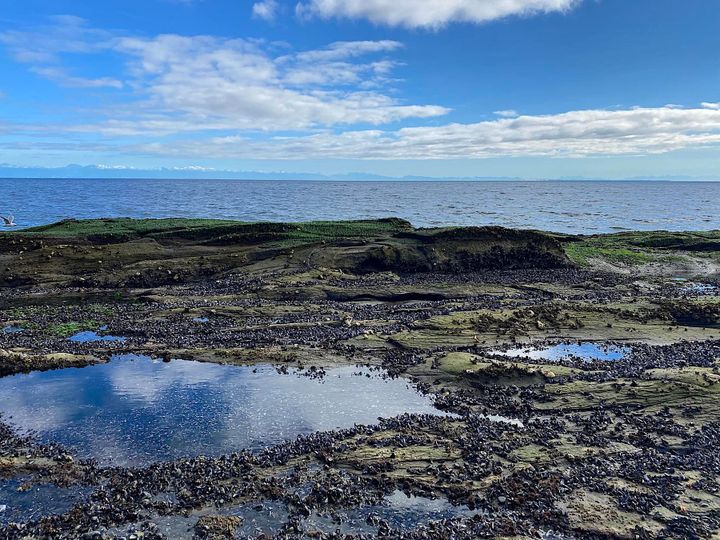 Photo 9 at Lot 19 Dl 71 Bodega Beach Drive, Galiano Island, Islands-Van. & Gulf