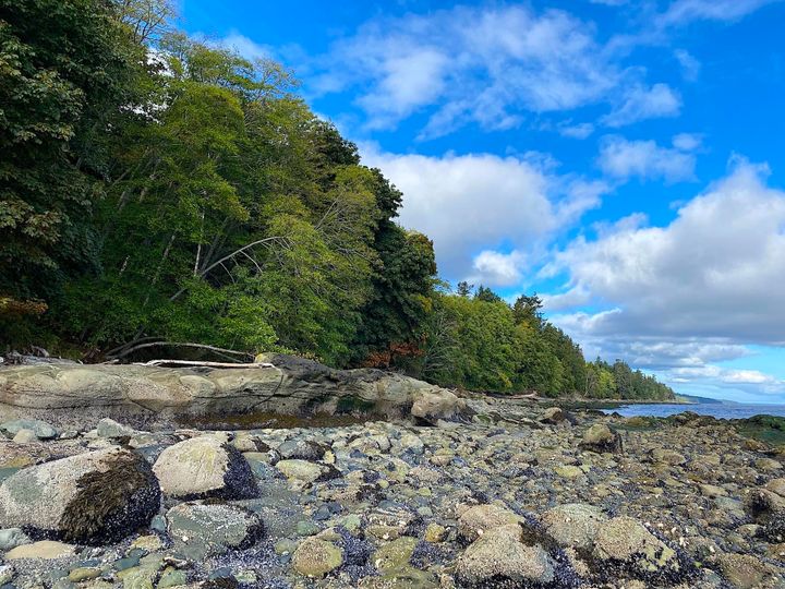 Photo 10 at Lot 19 Dl 71 Bodega Beach Drive, Galiano Island, Islands-Van. & Gulf