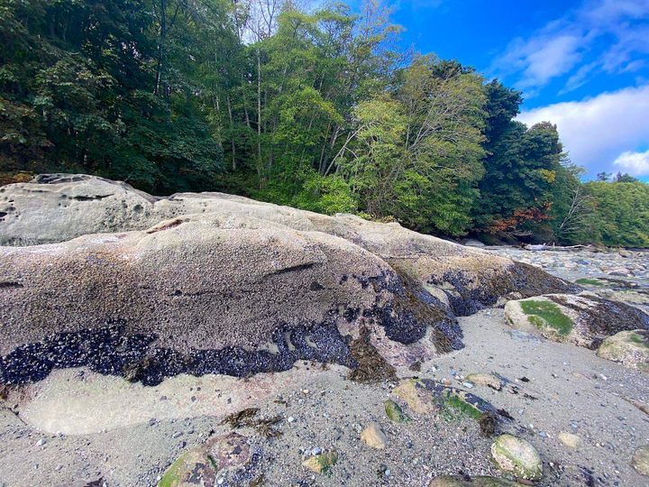 Photo 11 at Lot 19 Dl 71 Bodega Beach Drive, Galiano Island, Islands-Van. & Gulf