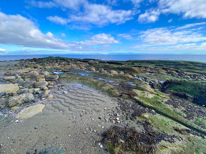 Photo 12 at Lot 19 Dl 71 Bodega Beach Drive, Galiano Island, Islands-Van. & Gulf