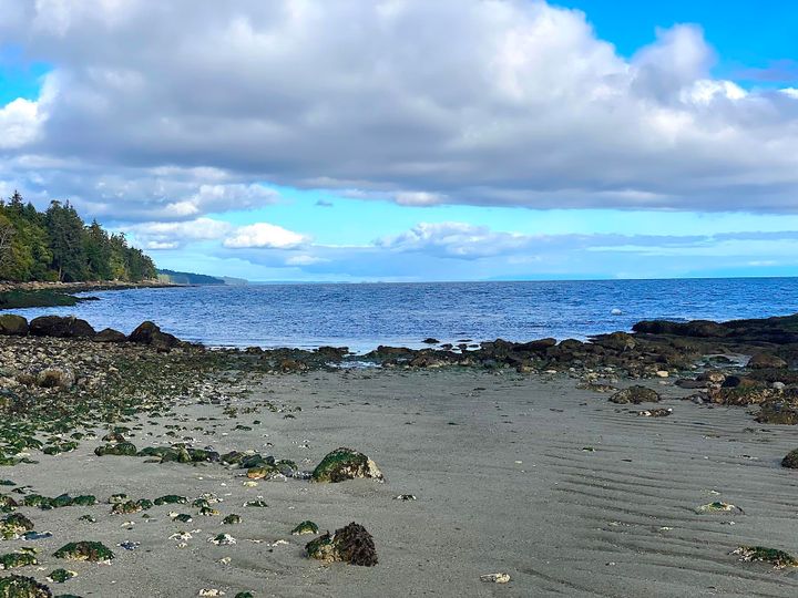 Photo 15 at Lot 19 Dl 71 Bodega Beach Drive, Galiano Island, Islands-Van. & Gulf