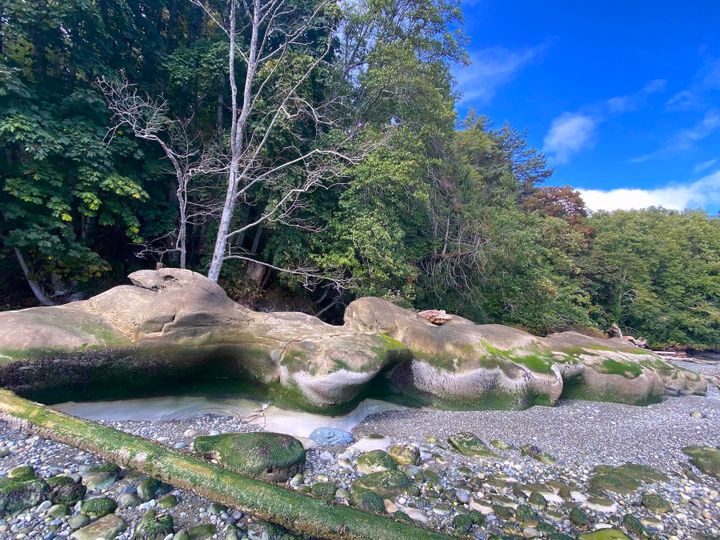 Photo 16 at Lot 19 Dl 71 Bodega Beach Drive, Galiano Island, Islands-Van. & Gulf