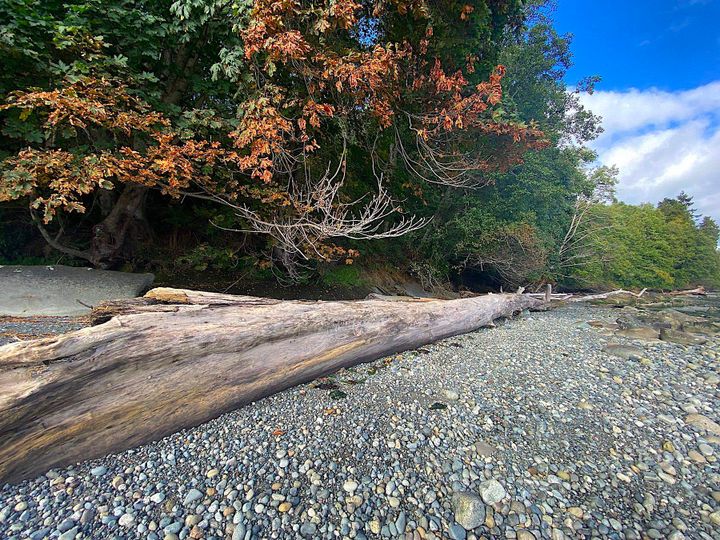 Photo 18 at Lot 19 Dl 71 Bodega Beach Drive, Galiano Island, Islands-Van. & Gulf