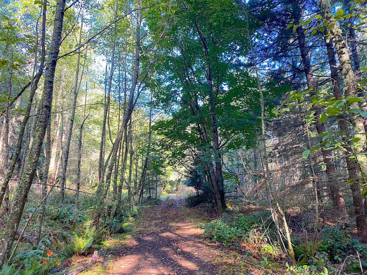 Photo 24 at Lot 19 Dl 71 Bodega Beach Drive, Galiano Island, Islands-Van. & Gulf