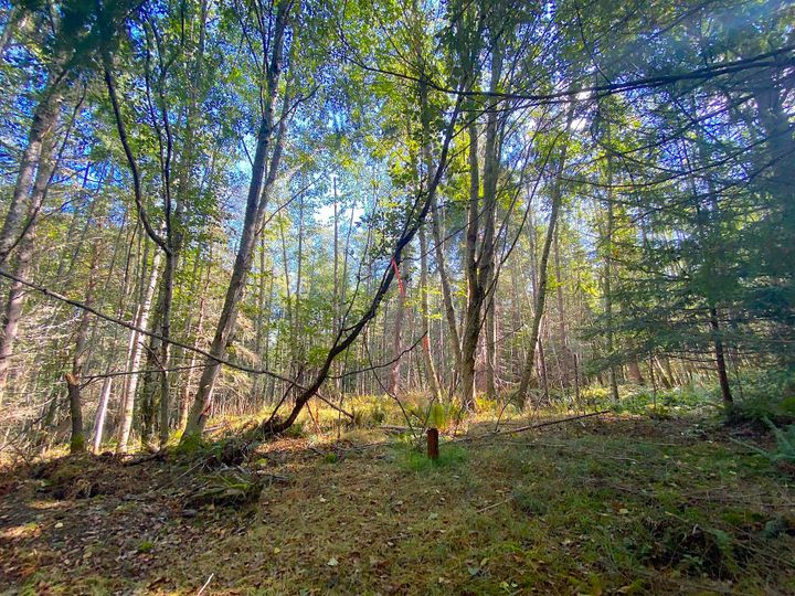 Photo 26 at Lot 19 Dl 71 Bodega Beach Drive, Galiano Island, Islands-Van. & Gulf