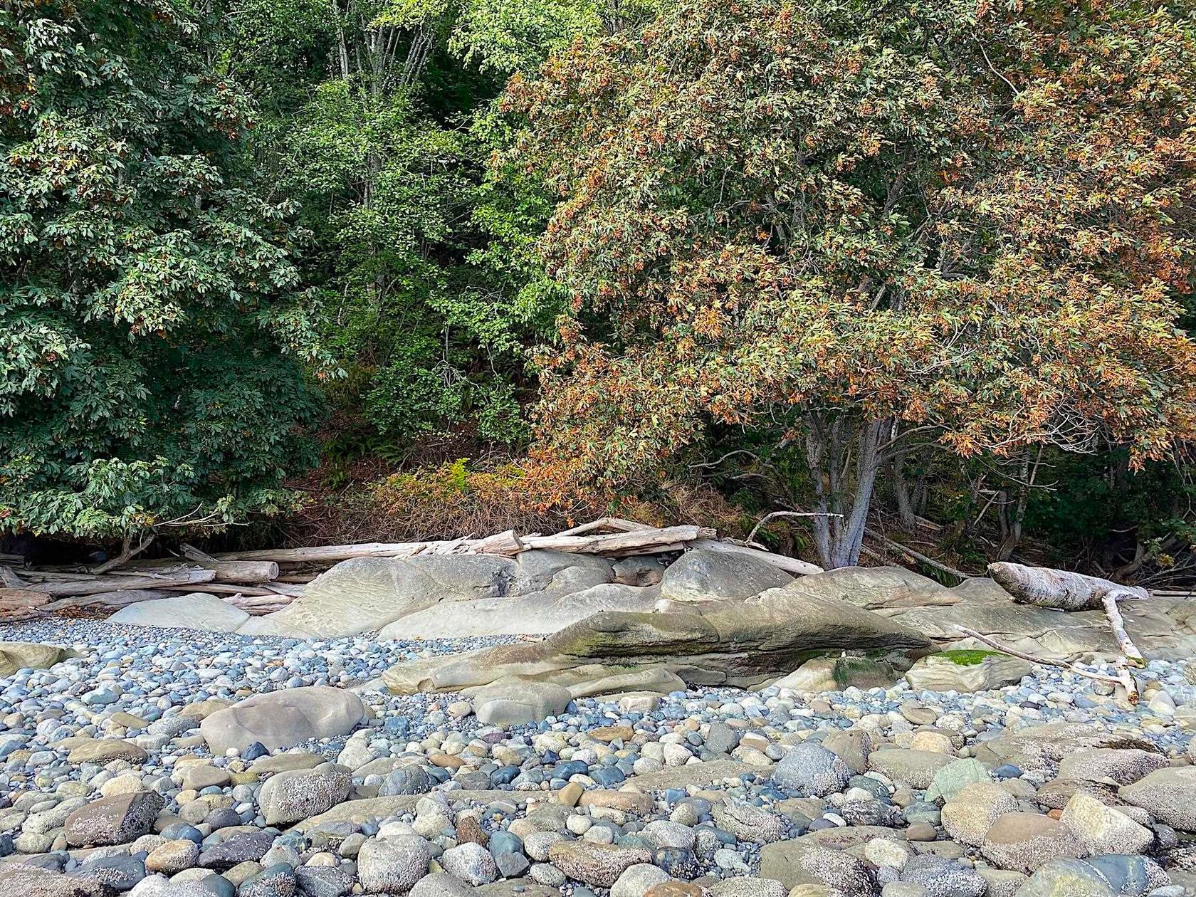 Photo 7 at Lot 19 Dl 71 Bodega Beach Drive, Galiano Island, Islands-Van. & Gulf Photo 7 at Lot 19 Dl 71 Bodega Beach Drive, Galiano Island, Islands-Van. & Gulf