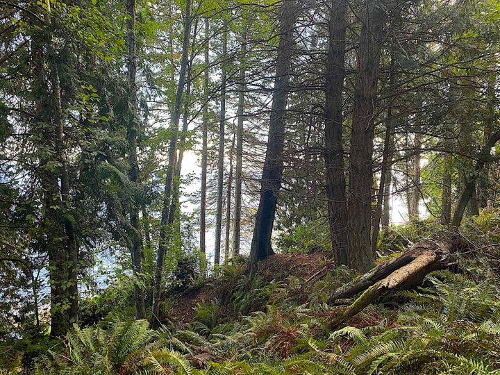 Photo 5 at Lot 16 Dl 71 And 77 Bodega Beach Drive, Galiano Island, Islands-Van. & Gulf