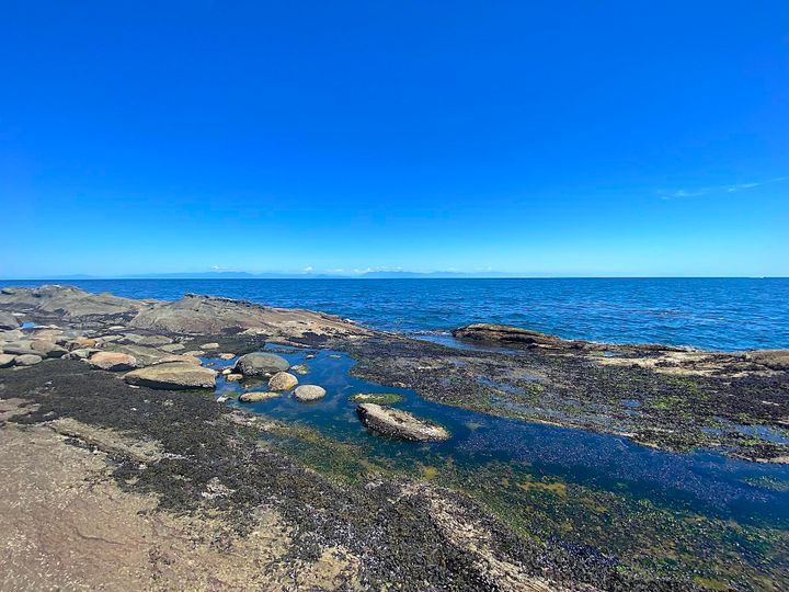 Photo 17 at Lot 16 Dl 71 And 77 Bodega Beach Drive, Galiano Island, Islands-Van. & Gulf