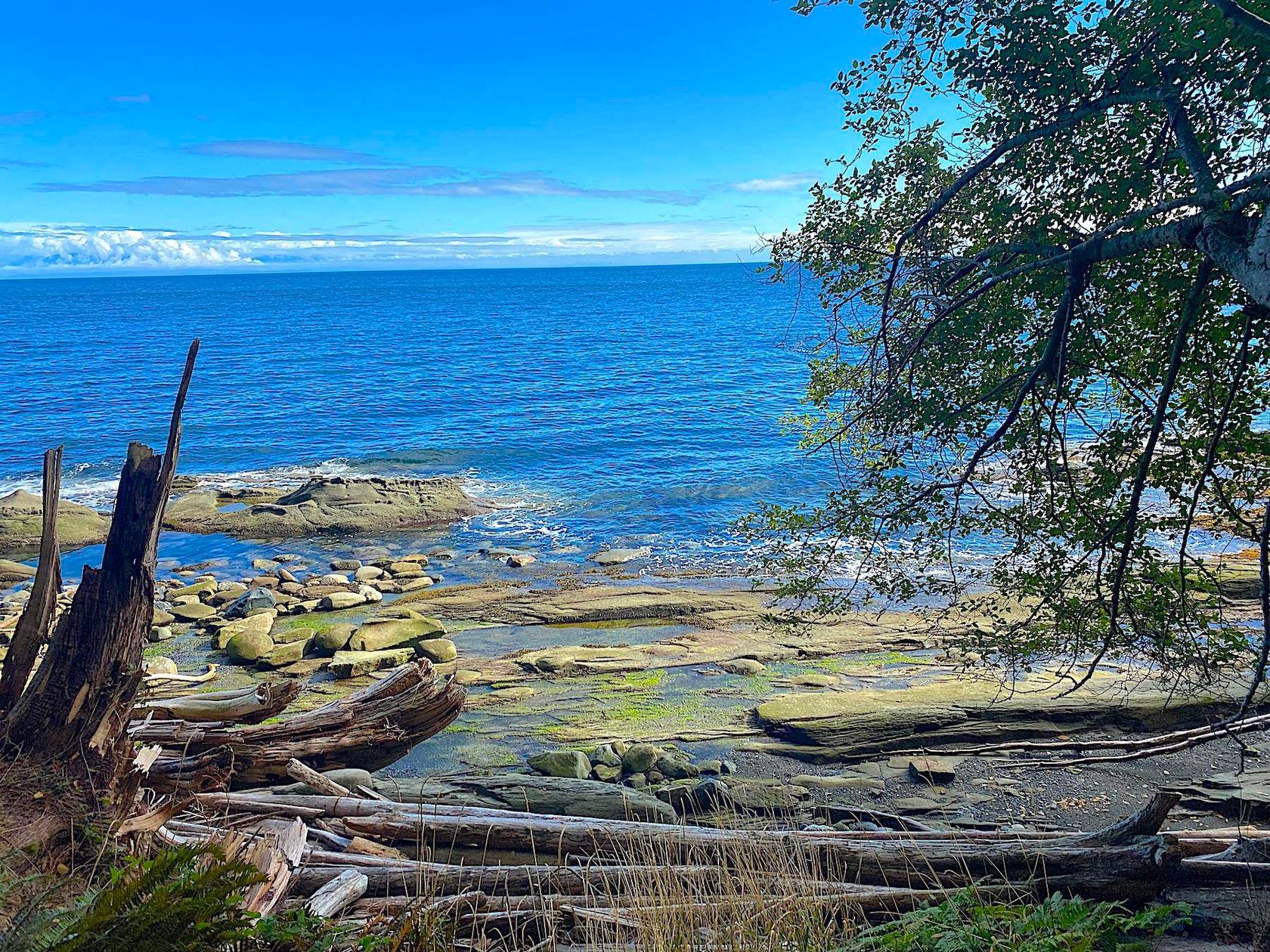 Lot 16 Dl 71 And 77 Bodega Beach Drive, Galiano Island, Islands-Van. & Gulf