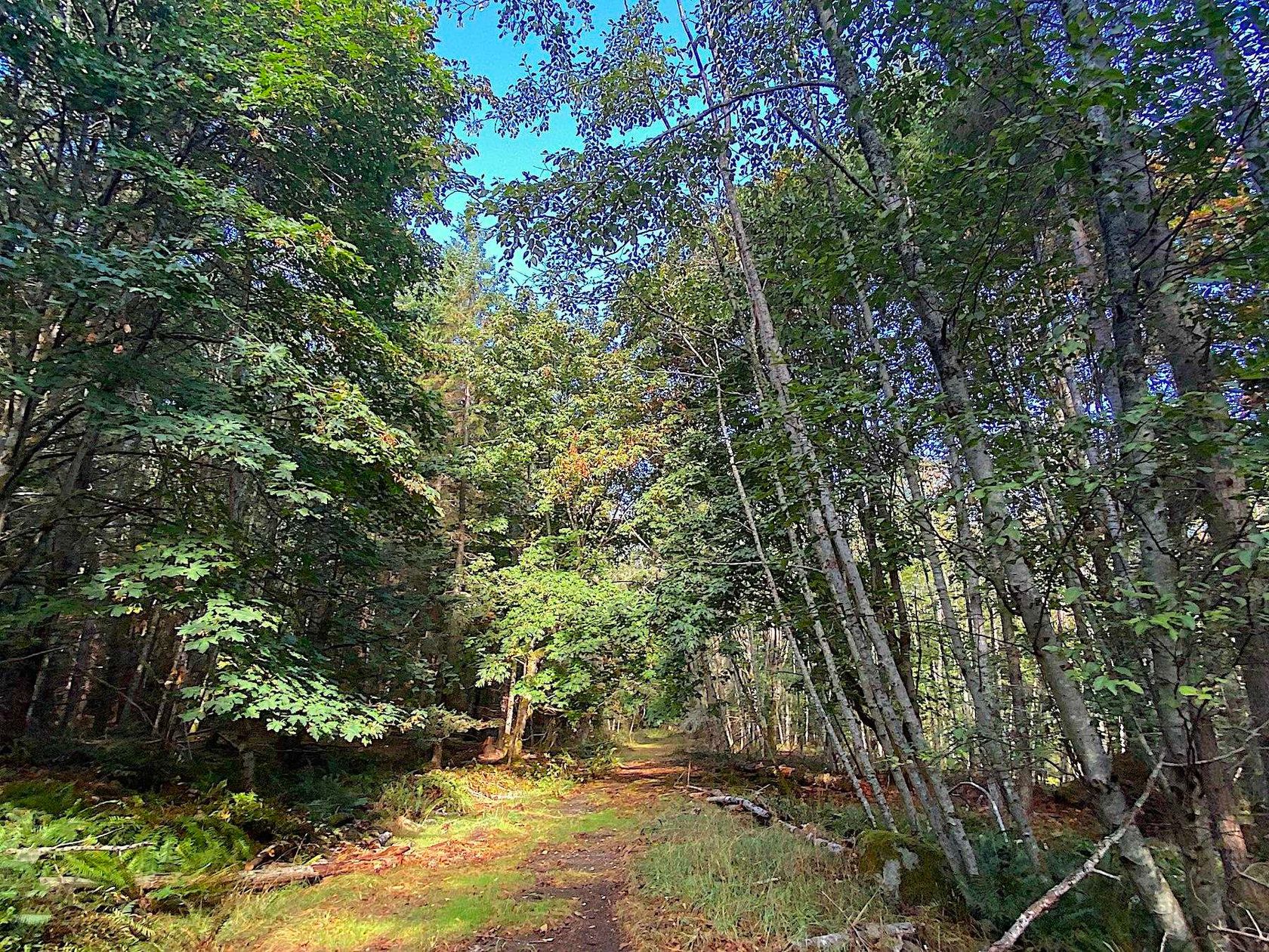 Photo 2 at Lot 16 Dl 71 And 77 Bodega Beach Drive, Galiano Island, Islands-Van. & Gulf Photo 2 at Lot 16 Dl 71 And 77 Bodega Beach Drive, Galiano Island, Islands-Van. & Gulf
