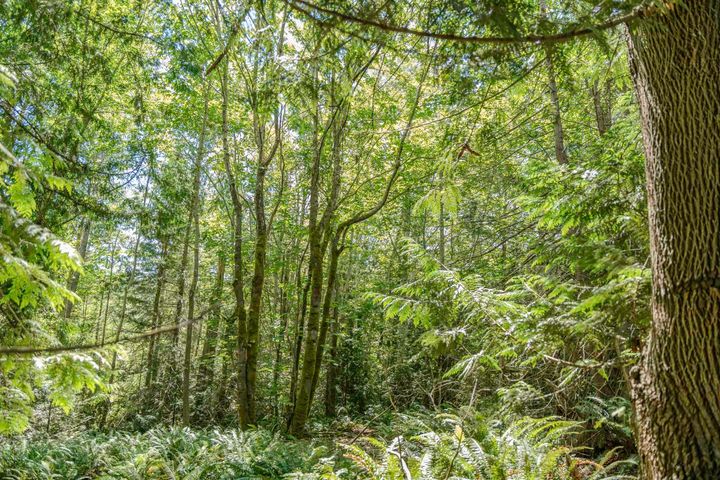 Photo 14 at 12882 Stone Road, Pender Harbour Egmont, Sunshine Coast Photo 14 at 12882 Stone Road, Pender Harbour Egmont, Sunshine Coast
