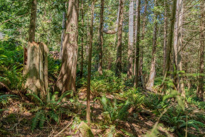Photo 16 at 12882 Stone Road, Pender Harbour Egmont, Sunshine Coast Photo 16 at 12882 Stone Road, Pender Harbour Egmont, Sunshine Coast