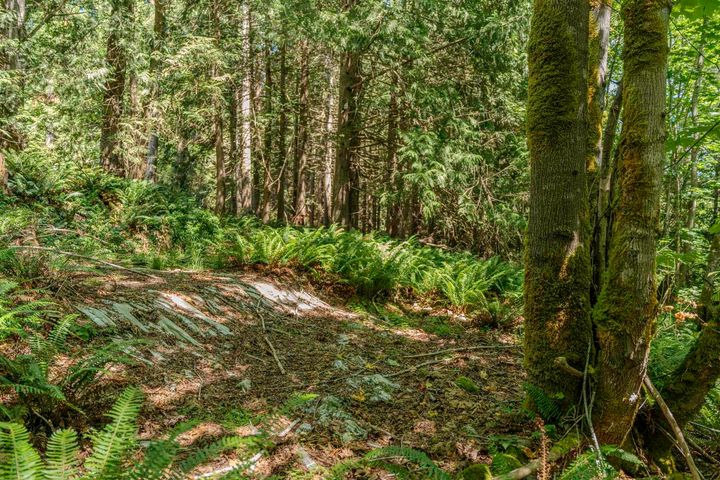 Photo 17 at 12882 Stone Road, Pender Harbour Egmont, Sunshine Coast Photo 17 at 12882 Stone Road, Pender Harbour Egmont, Sunshine Coast