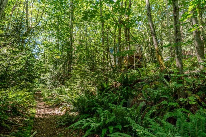 Photo 18 at 12882 Stone Road, Pender Harbour Egmont, Sunshine Coast Photo 18 at 12882 Stone Road, Pender Harbour Egmont, Sunshine Coast