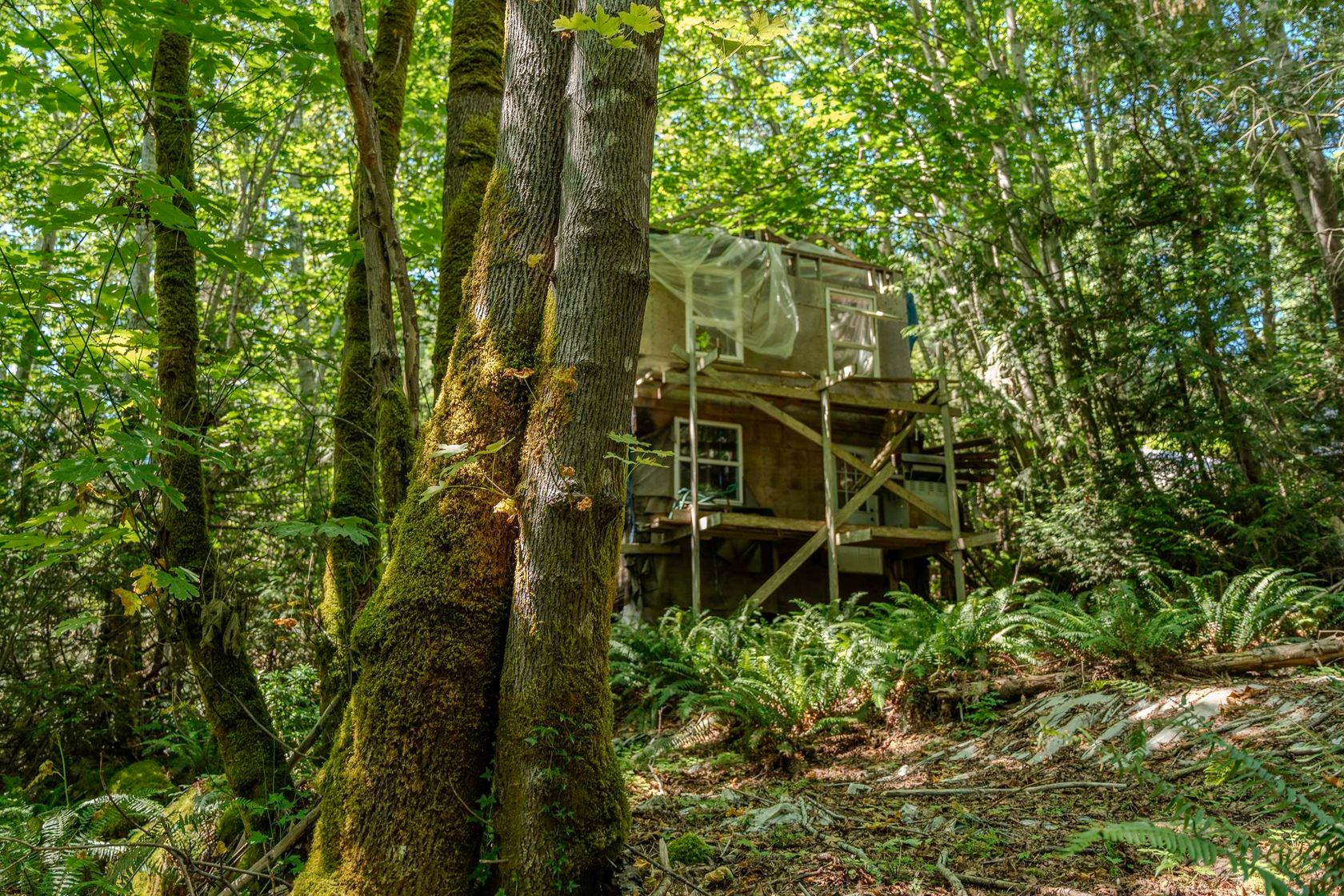 Photo 6 at 12882 Stone Road, Pender Harbour Egmont, Sunshine Coast Photo 6 at 12882 Stone Road, Pender Harbour Egmont, Sunshine Coast