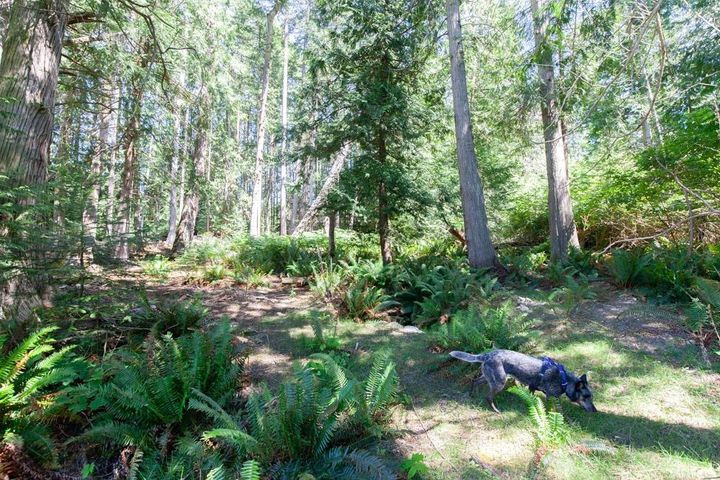 Photo 37 at 370 Maple Drive, Mayne Island, Islands-Van. & Gulf Photo 37 at 370 Maple Drive, Mayne Island, Islands-Van. & Gulf