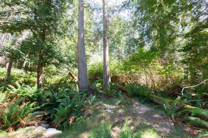Photo 38 at 370 Maple Drive, Mayne Island, Islands-Van. & Gulf Photo 38 at 370 Maple Drive, Mayne Island, Islands-Van. & Gulf