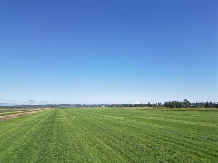 Photo 14 at 6859 168 Street, Cloverdale BC, Cloverdale Photo 14 at 6859 168 Street, Cloverdale BC, Cloverdale