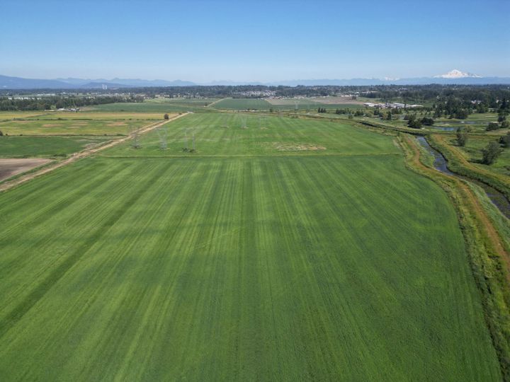 Photo 17 at 6859 168 Street, Cloverdale BC, Cloverdale Photo 17 at 6859 168 Street, Cloverdale BC, Cloverdale