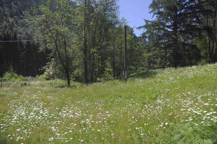 Photo 5 at 43751 Frost Road, Columbia Valley, Cultus Lake & Area Photo 5 at 43751 Frost Road, Columbia Valley, Cultus Lake & Area