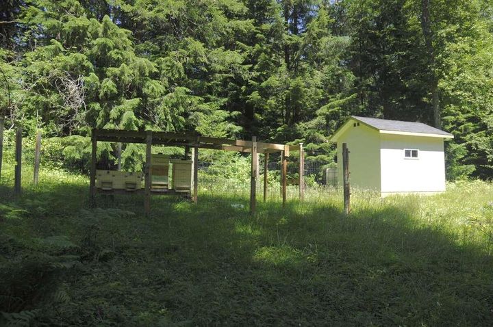 Photo 7 at 43751 Frost Road, Columbia Valley, Cultus Lake & Area Photo 7 at 43751 Frost Road, Columbia Valley, Cultus Lake & Area