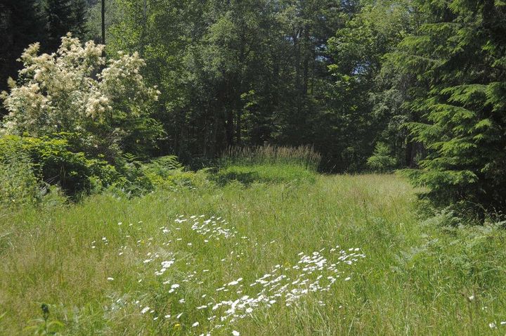 Photo 9 at 43751 Frost Road, Columbia Valley, Cultus Lake & Area Photo 9 at 43751 Frost Road, Columbia Valley, Cultus Lake & Area