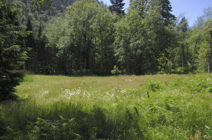 Photo 10 at 43751 Frost Road, Columbia Valley, Cultus Lake & Area Photo 10 at 43751 Frost Road, Columbia Valley, Cultus Lake & Area