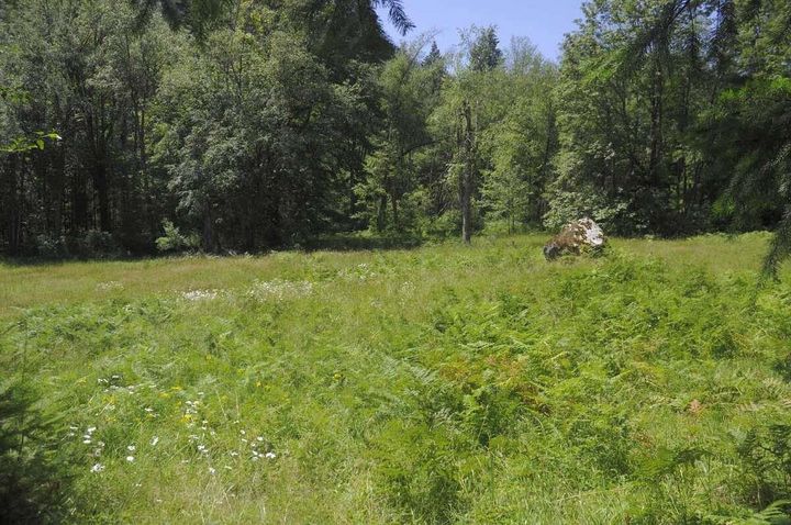 Photo 11 at 43751 Frost Road, Columbia Valley, Cultus Lake & Area Photo 11 at 43751 Frost Road, Columbia Valley, Cultus Lake & Area