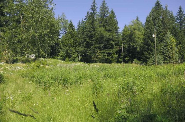 Photo 12 at 43751 Frost Road, Columbia Valley, Cultus Lake & Area Photo 12 at 43751 Frost Road, Columbia Valley, Cultus Lake & Area