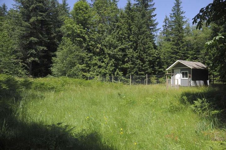 Photo 14 at 43751 Frost Road, Columbia Valley, Cultus Lake & Area Photo 14 at 43751 Frost Road, Columbia Valley, Cultus Lake & Area