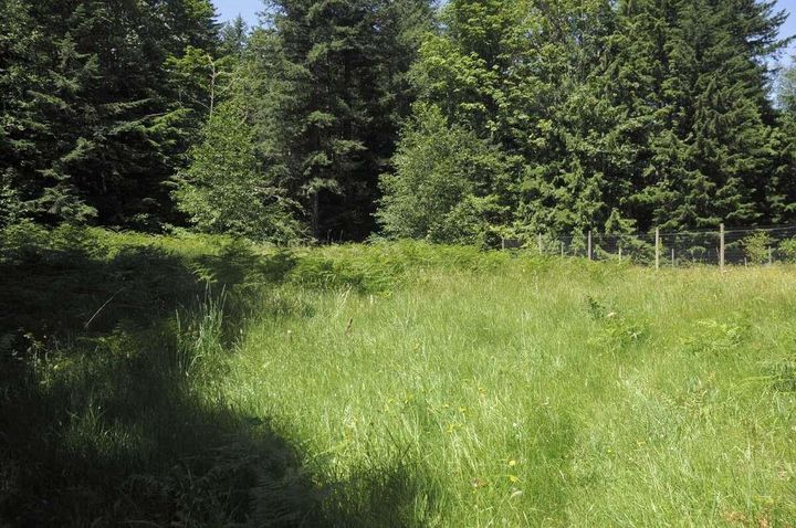 Photo 16 at 43751 Frost Road, Columbia Valley, Cultus Lake & Area Photo 16 at 43751 Frost Road, Columbia Valley, Cultus Lake & Area