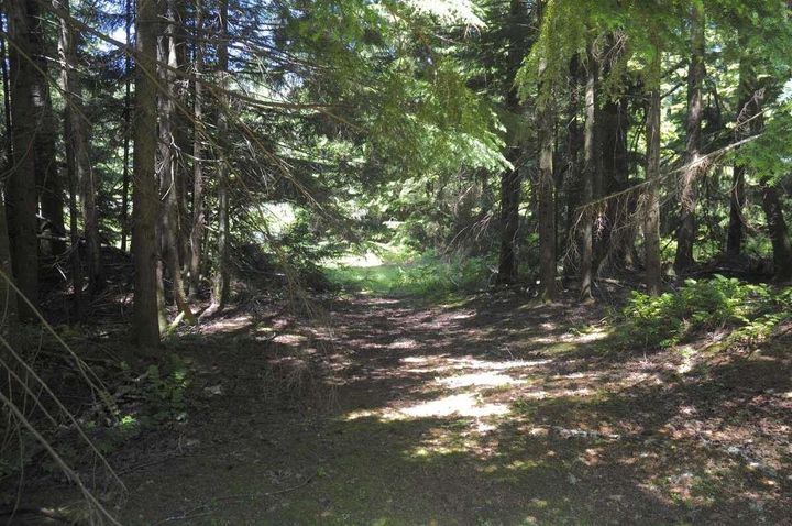 Photo 20 at 43751 Frost Road, Columbia Valley, Cultus Lake & Area Photo 20 at 43751 Frost Road, Columbia Valley, Cultus Lake & Area