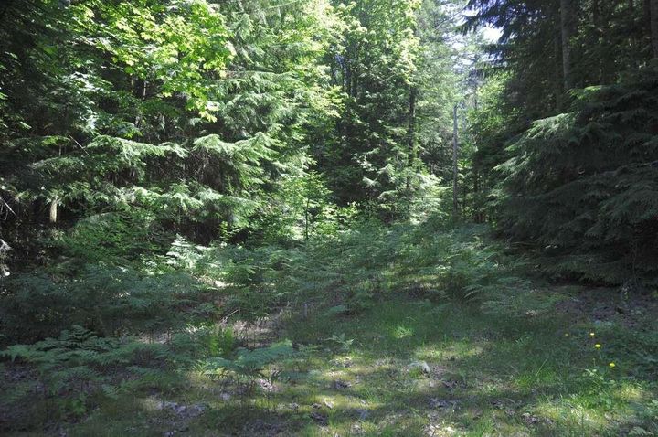 Photo 21 at 43751 Frost Road, Columbia Valley, Cultus Lake & Area Photo 21 at 43751 Frost Road, Columbia Valley, Cultus Lake & Area