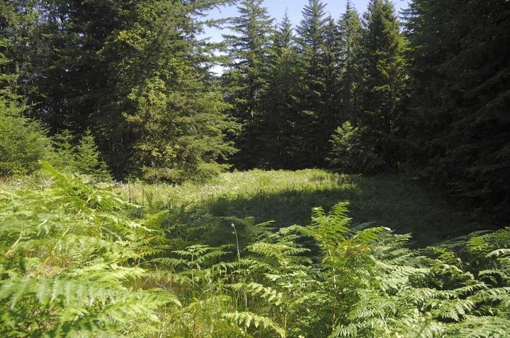 Photo 23 at 43751 Frost Road, Columbia Valley, Cultus Lake & Area Photo 23 at 43751 Frost Road, Columbia Valley, Cultus Lake & Area