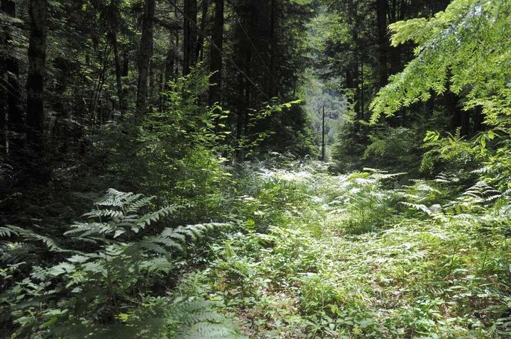 Photo 24 at 43751 Frost Road, Columbia Valley, Cultus Lake & Area Photo 24 at 43751 Frost Road, Columbia Valley, Cultus Lake & Area