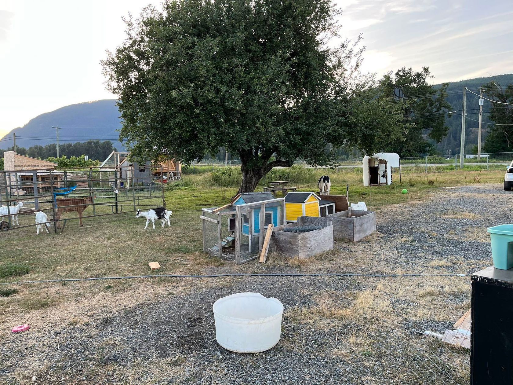 Photo 6 at 39582 Lougheed Highway, Dewdney Deroche, Mission Photo 6 at 39582 Lougheed Highway, Dewdney Deroche, Mission