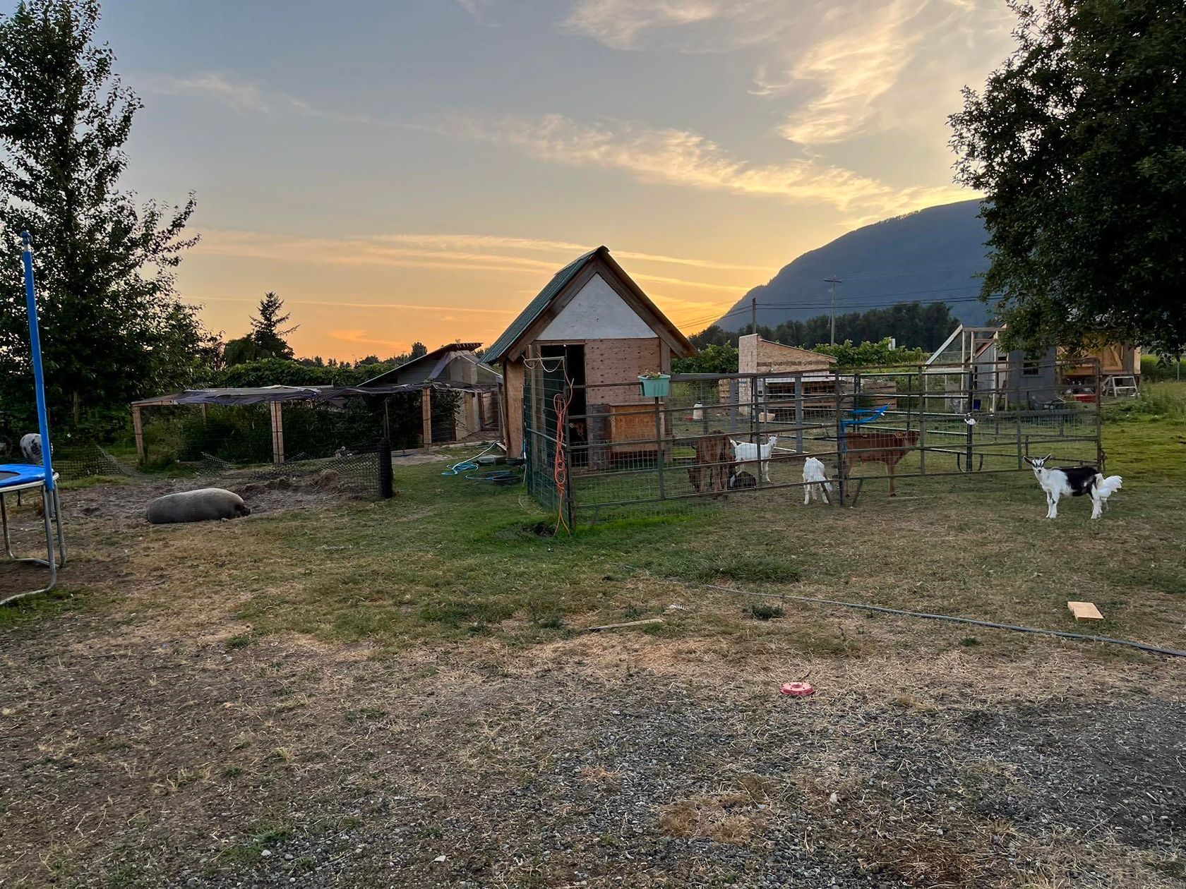 Photo 7 at 39582 Lougheed Highway, Dewdney Deroche, Mission Photo 7 at 39582 Lougheed Highway, Dewdney Deroche, Mission