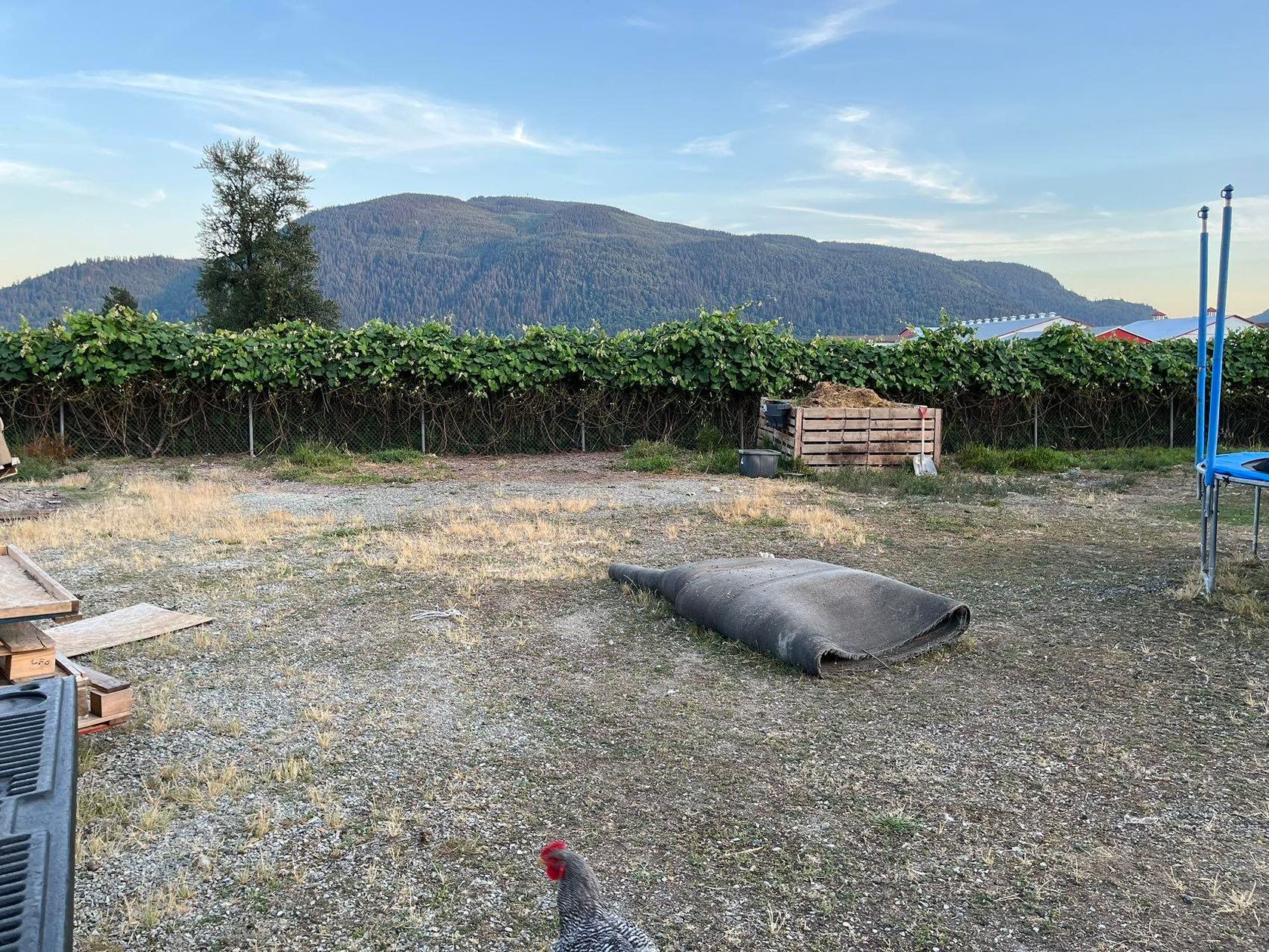 Photo 8 at 39582 Lougheed Highway, Dewdney Deroche, Mission Photo 8 at 39582 Lougheed Highway, Dewdney Deroche, Mission