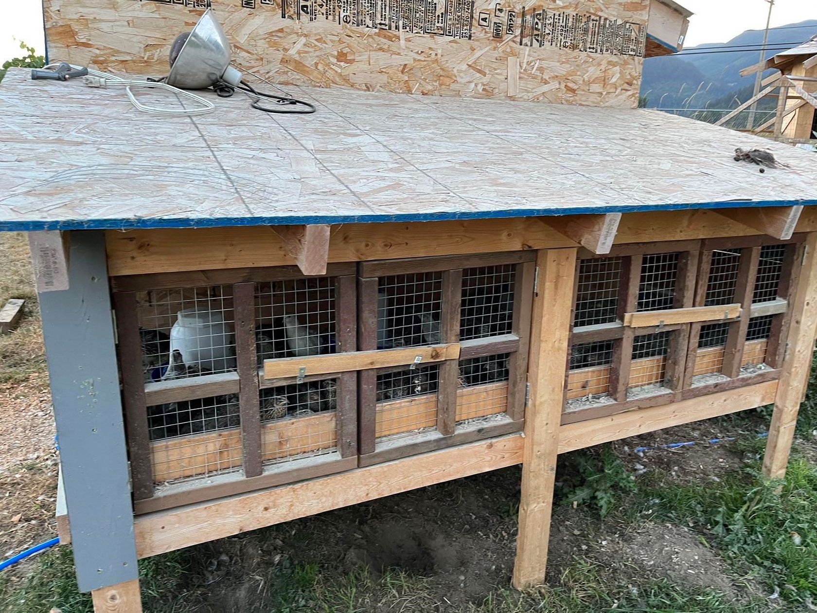 Photo 15 at 39582 Lougheed Highway, Dewdney Deroche, Mission Photo 15 at 39582 Lougheed Highway, Dewdney Deroche, Mission