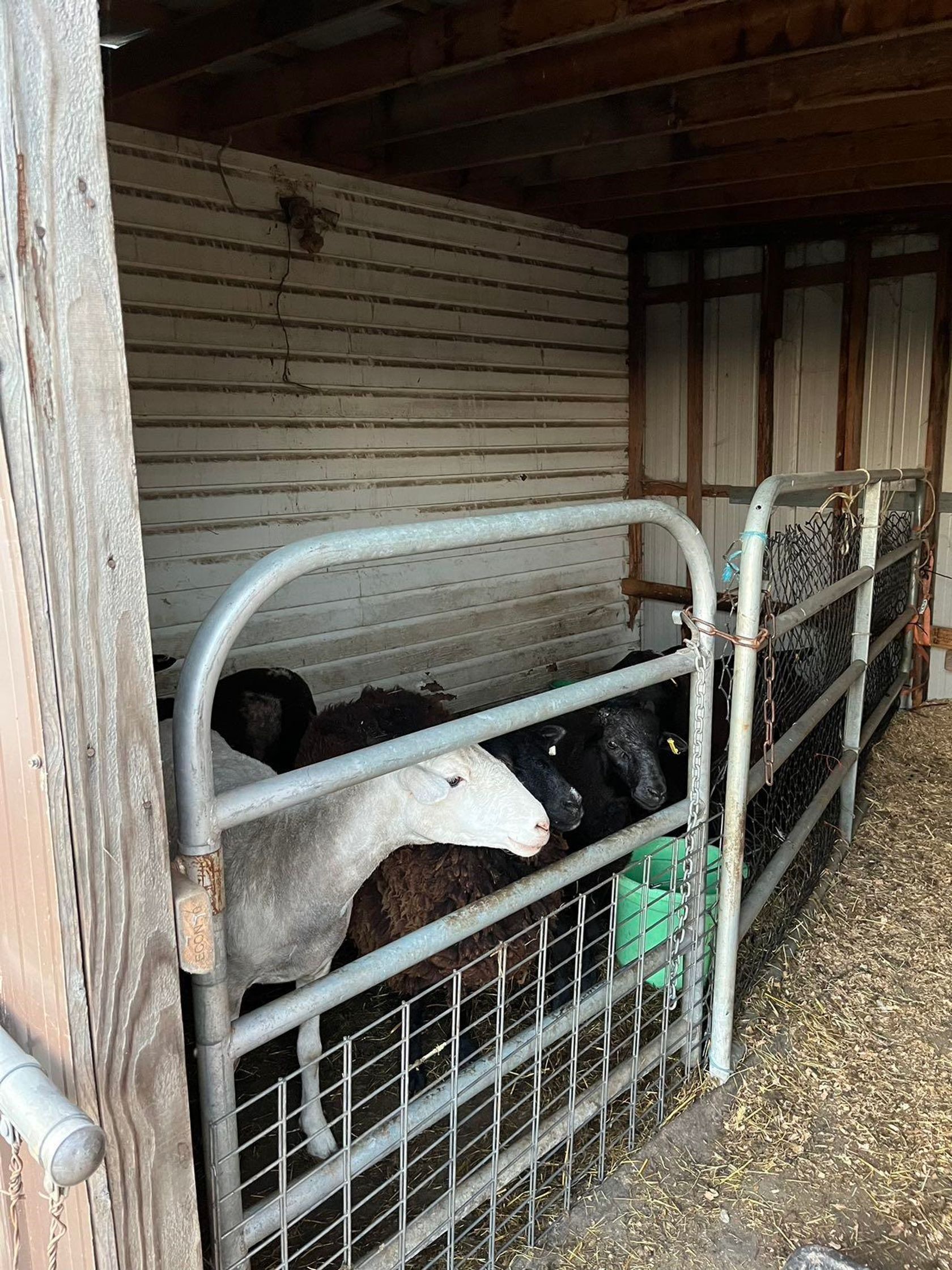 Photo 16 at 39582 Lougheed Highway, Dewdney Deroche, Mission Photo 16 at 39582 Lougheed Highway, Dewdney Deroche, Mission