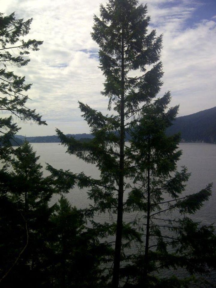 Photo 19 at 3 Indian Arm, Belcarra, Port Moody Photo 19 at 3 Indian Arm, Belcarra, Port Moody