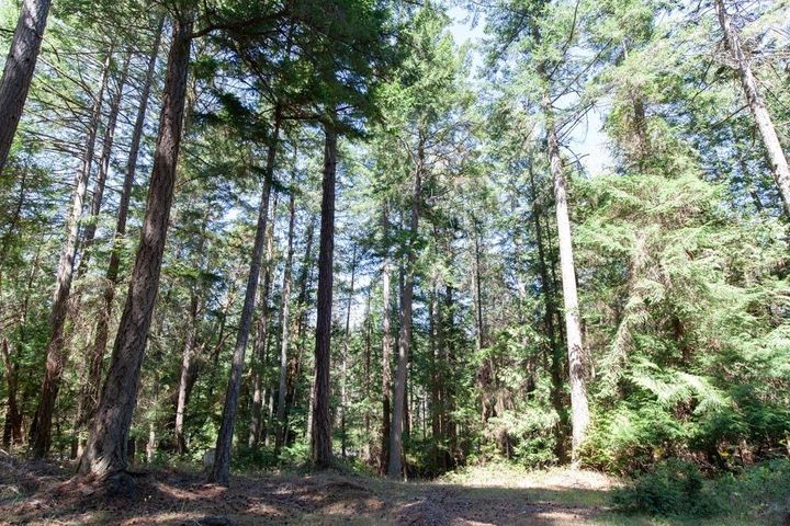 Photo 30 at 216 Georgina Point Road, Mayne Island, Islands-Van. & Gulf