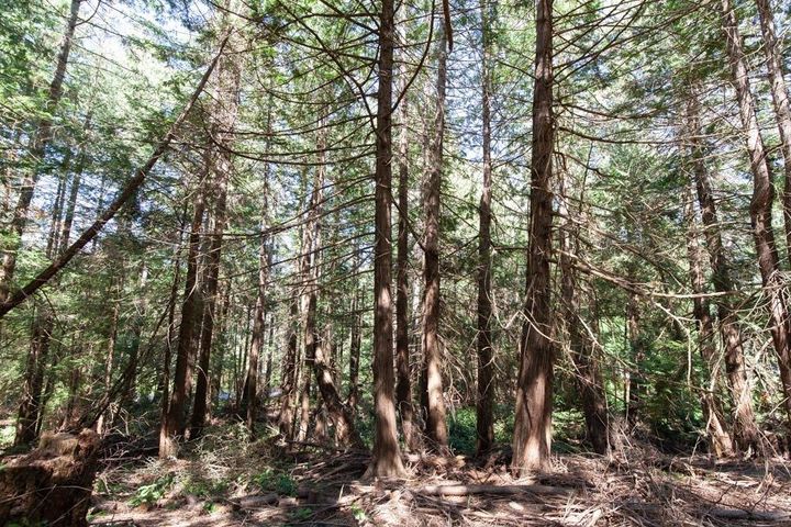 Photo 37 at 216 Georgina Point Road, Mayne Island, Islands-Van. & Gulf