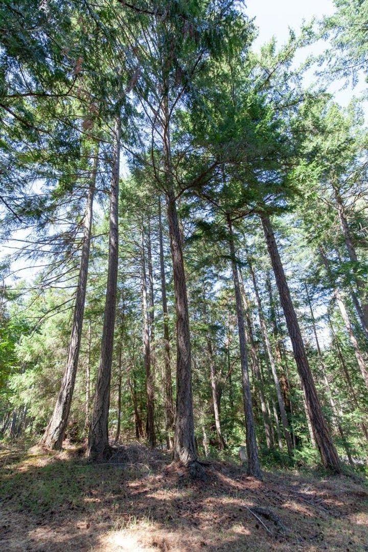 Photo 39 at 216 Georgina Point Road, Mayne Island, Islands-Van. & Gulf