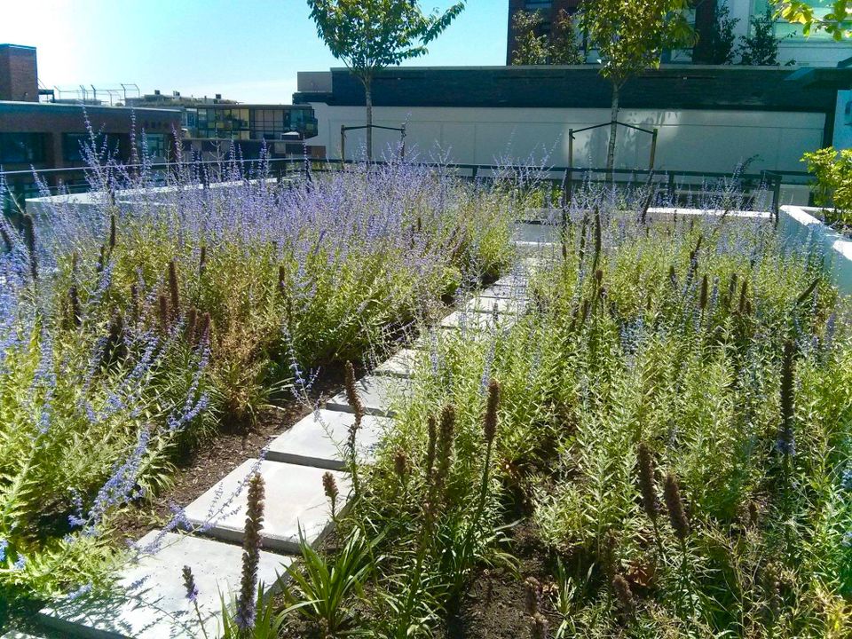 Photo 11 at 816 - 188 Keefer Street, Downtown VE, Vancouver East